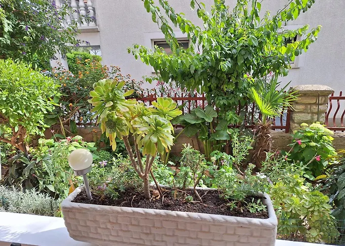 Andabaka Водице