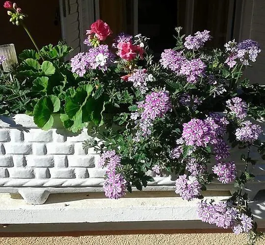 Andabaka Apartamento